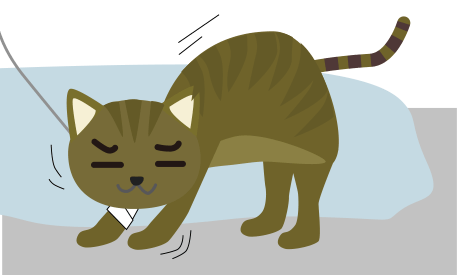 ゆっくり伸びをする猫