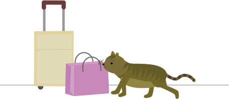 パトロール中の猫