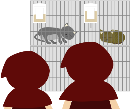入院中の猫と面談