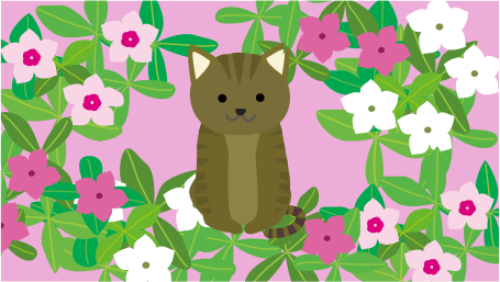 猫