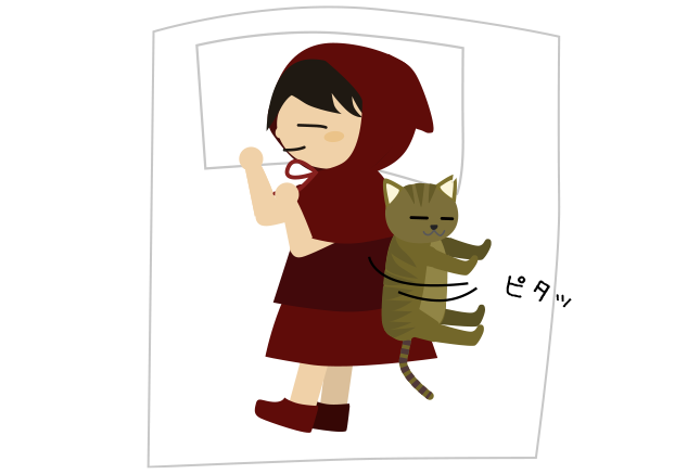 猫が背中にピタっとくっつく
