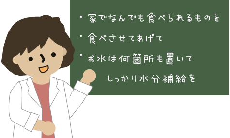 どうぶつ病院の先生