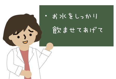 どうぶつ病院の先生