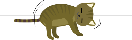 ゴロンと寝る猫