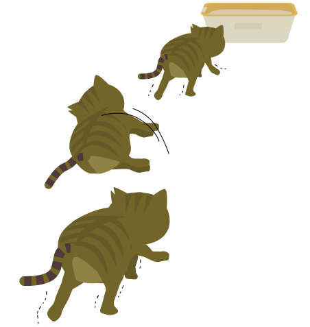 フラフラしててもトイレに行こうとする猫