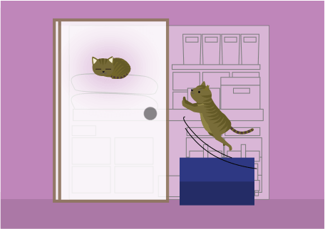 押入れで寝る猫