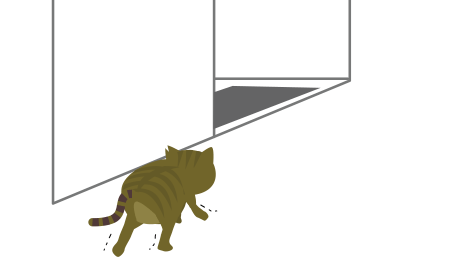 押入れに移動する猫