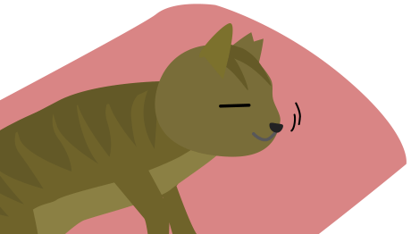 水を飲み込む猫