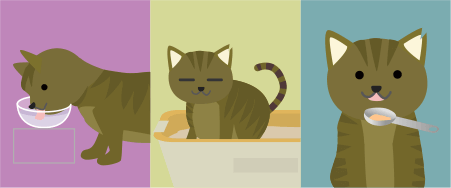 猫の暮らし