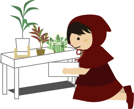 いつもの日向ぼこの場所に