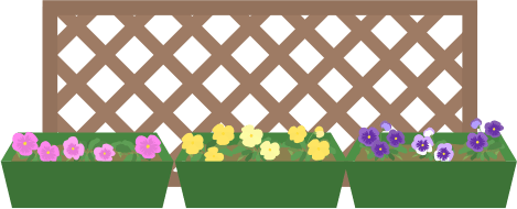 パンジーを植えたプランター