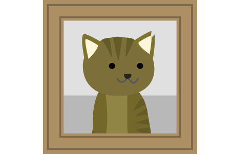 猫のサラの写真