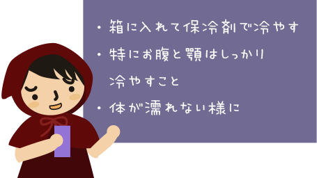 猫を火葬する前日