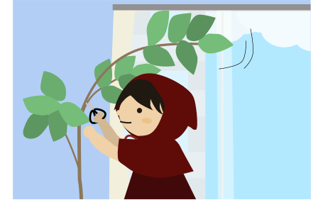 ウンベラータの剪定