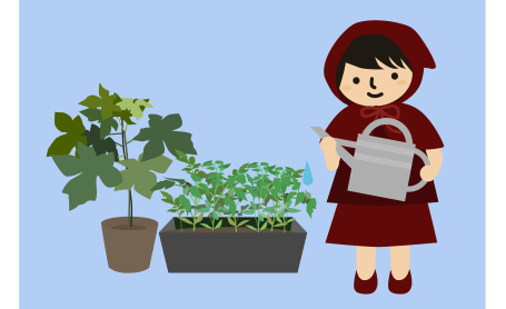 オクラとミニトマトを育てる