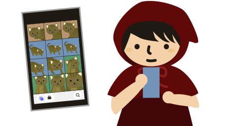 カメラロールは猫だらけ