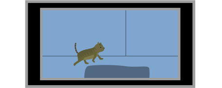 ペットの見守りカメラ