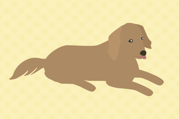 大型犬のイラスト