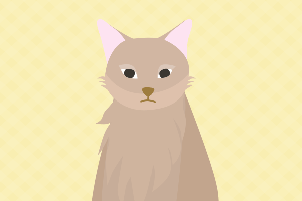 猫のイラスト