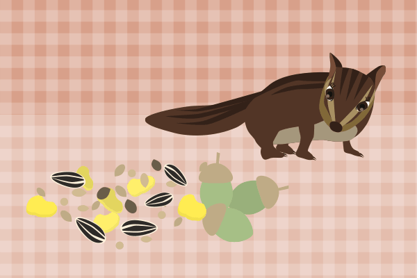 リスとひまわりの種のイラスト