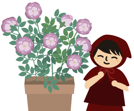 薔薇の大きい花が咲いた