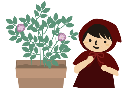 薔薇の鉢植えを見るイラスト