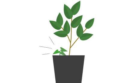 鉢植えの横から小さい草が生えてる